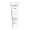 Caudalie VINOPERFECT Masque peeling glycolique, 75ml | Parashop.com
