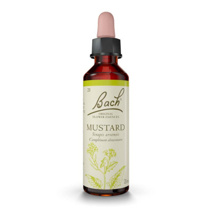 N°21 Mustard, 20ml Fleurs de Bach® Original - Parashop