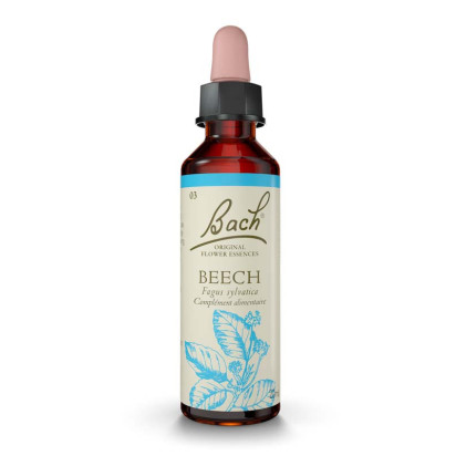 N°3 Beech, 20ml Fleurs de Bach® Original - Parashop