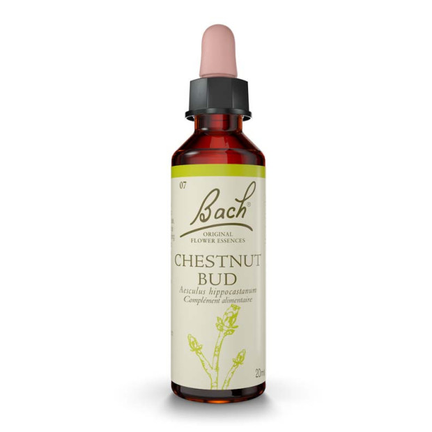 N°7 Chestnut Bud, 20ml Fleurs de Bach® Original - Parashop