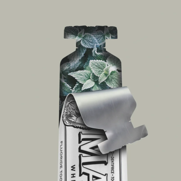Whitening Mint Dentifrice Blancheur Menthe, 85ml