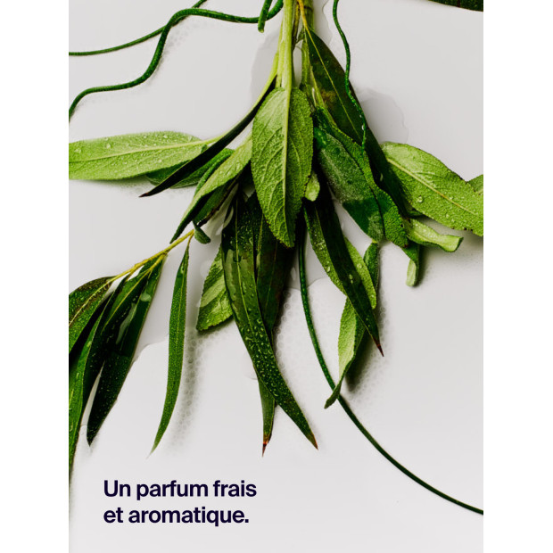 Déodorant Protection 12 Heures Eucalyptus Et Sauge, 50ml