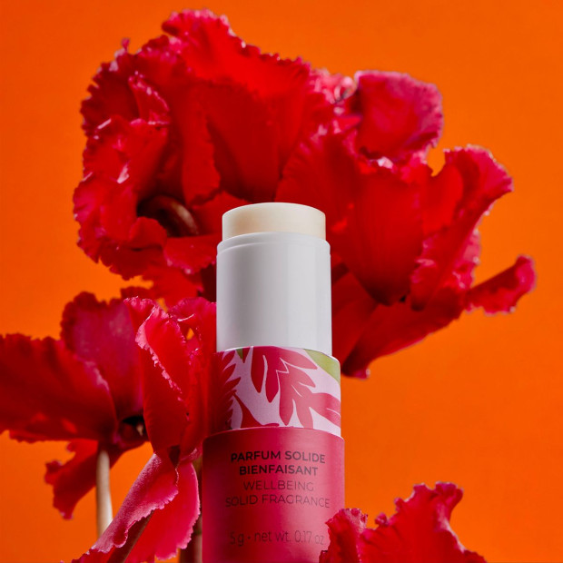 Gingembre Rouge Parfum Solide, 5g
