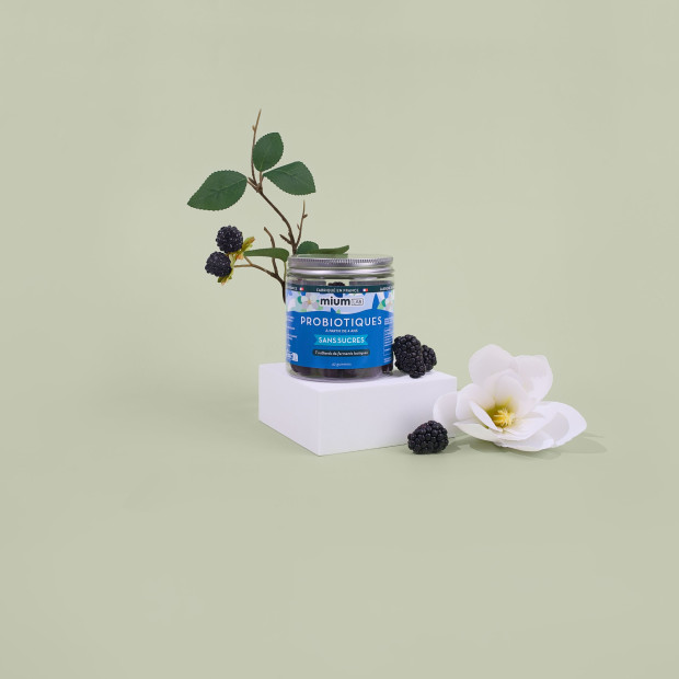 Gummies Probiotiques Sans Sucre, 42 Gummies