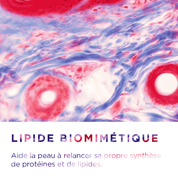 Crealine AR+ Crème Soin Anti-Rougeurs Hydratant Apaisant Peaux sensibles, 40ml