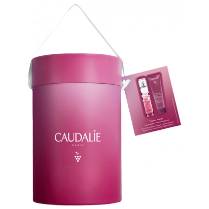 Coffret Thé des Vignes 100 ml