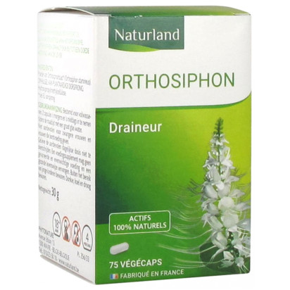 Orthosiphon, 75 Végécaps