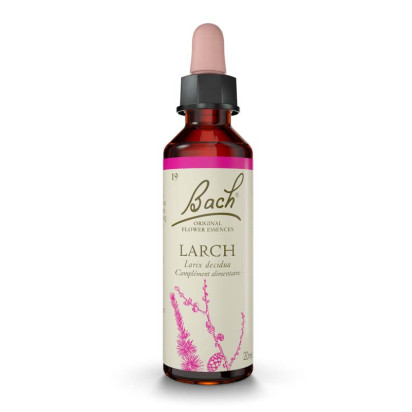 N°19 Larch, 20ml Fleurs de Bach® Original - Parashop