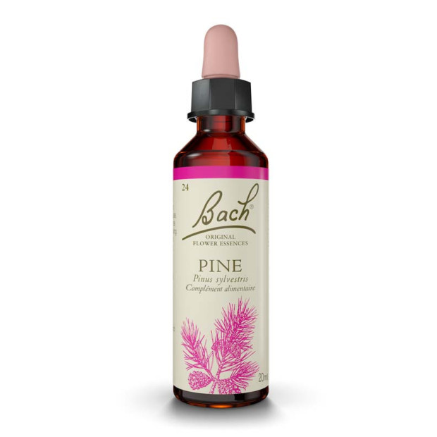 N°24 Pine, 20ml Fleurs de Bach® Original - Parashop