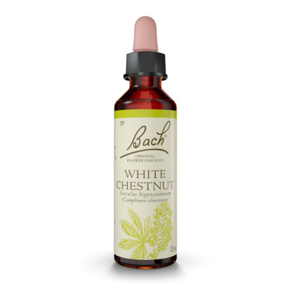 N°35 White Chestnut, 20ml Fleurs de Bach® Original - Parashop