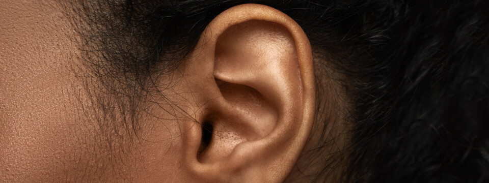 Nez & oreilles
